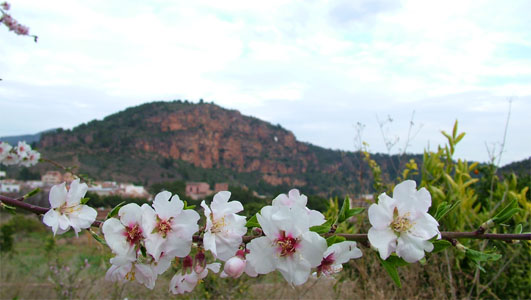 S'acosta la primavera al carraixet.