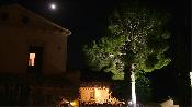 Cicle de concerts 2009
