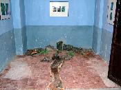 Expocici a la casa del senyoria 2005
