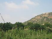 Macoll de l'Edua