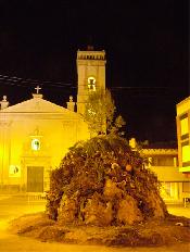 Plant de la foguera