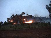 incendi a les faldes de la penya d'Al-Maim
