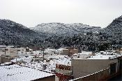 Olocau enfarinat