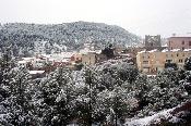 Olocau enfarinat