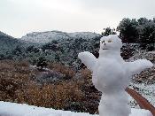 Ninot de neu