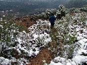 Caminant per la neu