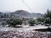 Camps nevats