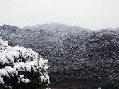 Muntanyes nevades