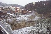 Neu 2010