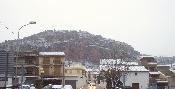 Neu 2010