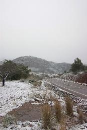 Neu 2010