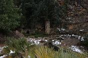 Neu 2010
