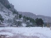 Neu 2010
