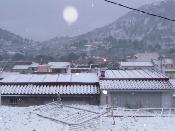 Neu 2010
