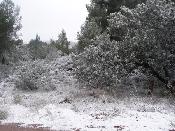 Neu 2010