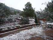 Neu 2010