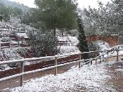 Neu 2010