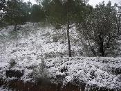 Neu 2010