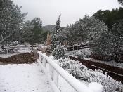 Neu 2010