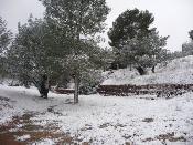 Neu 2010