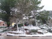 Neu 2010