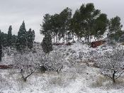 Neu 2010