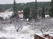 Neu 2010