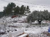 Neu 2010