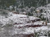 Neu 2010