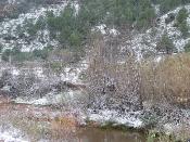 Neu 2010