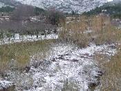 Neu 2010
