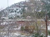 Neu 2010