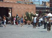 Intercanvi cultural