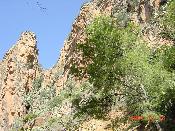 4 - Paisatge