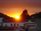 7 - Paisatge