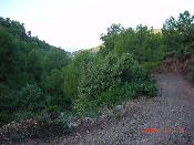 9 - Paisatge