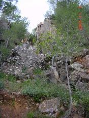 13 - Paisatge