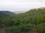 17 - Paisatge
