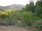 19 - Paisatge
