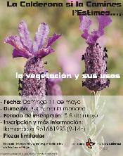 La calderona