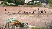 Diversi� per a tots