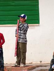 El campi� content