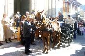 Benedicci� dels animals