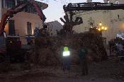 Plant� de la foguera